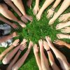 Community Team