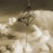 Space Elevator Climber