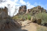 Top Activities That You Shouldn’t Miss In Scottsdale