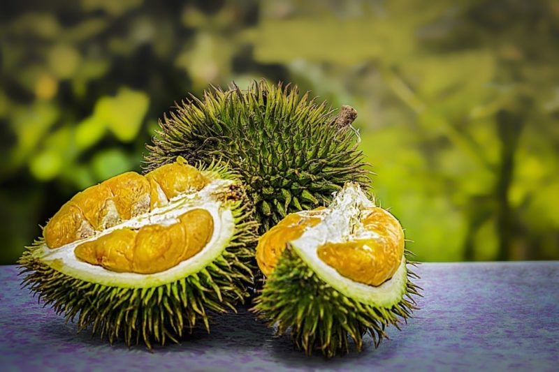 Durian Fruit