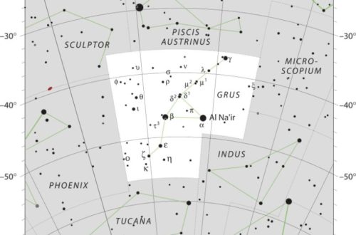 Grus Constellation Map IAU