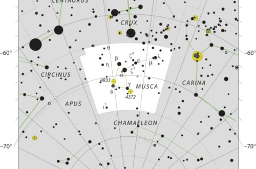 Musca Constellation Map IAU