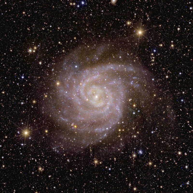IC 342 Galaxy Euclid