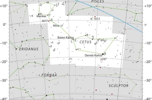 Cetus Constellation Map IAU