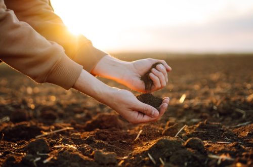 Different Types Of Farm Soil