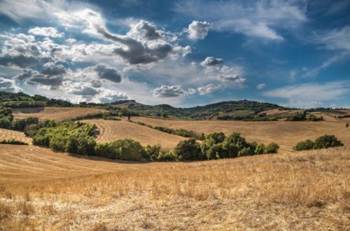 How Can Soil Erosion Be Prevented
