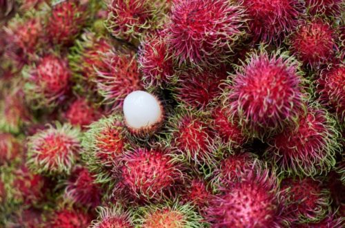 Rambutan Fruit