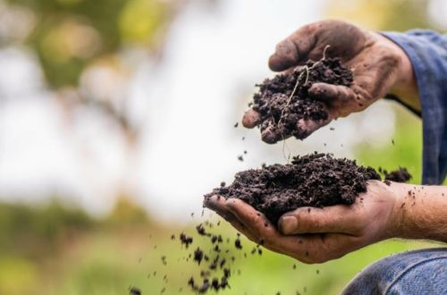 Soil Sampling is the Key to Unlocking Sustainability