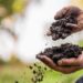 Soil Sampling is the Key to Unlocking Sustainability