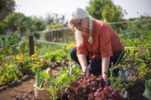 Sustainable Longevity