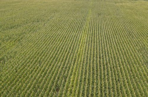 Choosing Land Broker