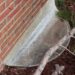 Is It Time To Replace Your Homes Window Wells