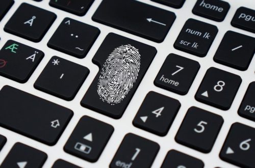 Preventing Identity Theft Online