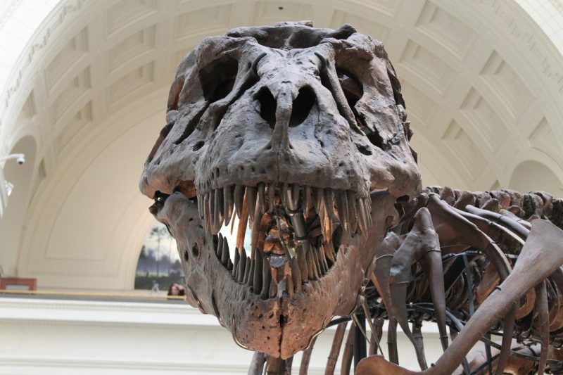 Jurassic Park Sadly Realistic