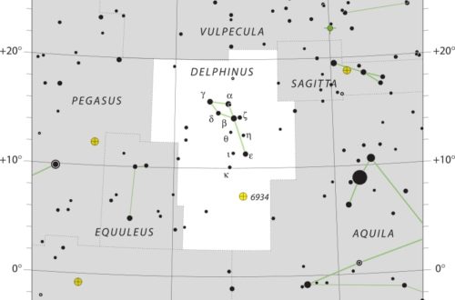 Delphinus Constellation Map IAU