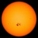 Enormous Sunspot NASA SDO