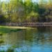 Make Your Pond Healthier