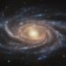 NGC 2336 Galaxy