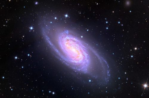 NGC 2903