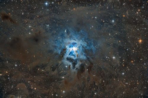 NGC 7023 Iris Nebula