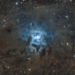 NGC 7023 Iris Nebula