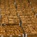 Used Gaylord Boxes