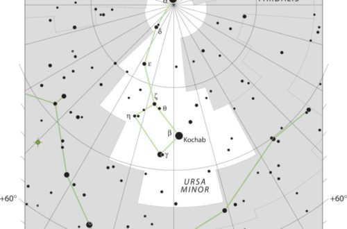 Ursa Minor Constellation Map IAU