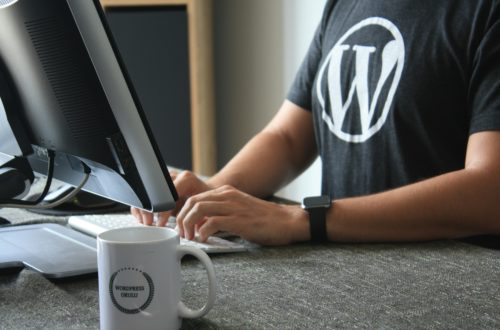 WordPress Hosts For Peak Speed