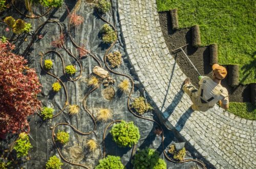 Landscaping That Fits The Climate