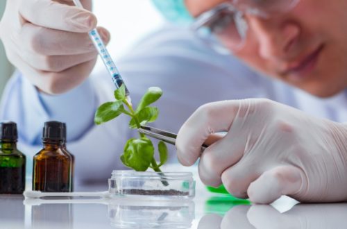 Different Types Of Biotechnology