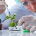 Different Types Of Biotechnology
