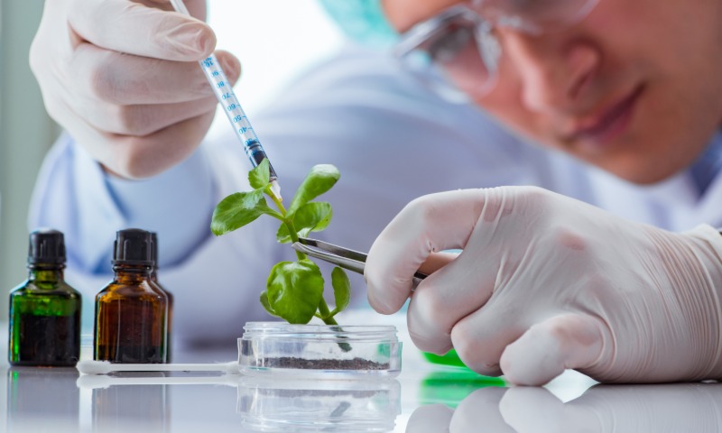 Different Types Of Biotechnology