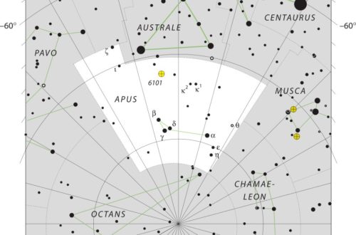 Apus Constellation Map IAU