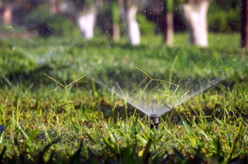Keep Your Lawn Watering On Track