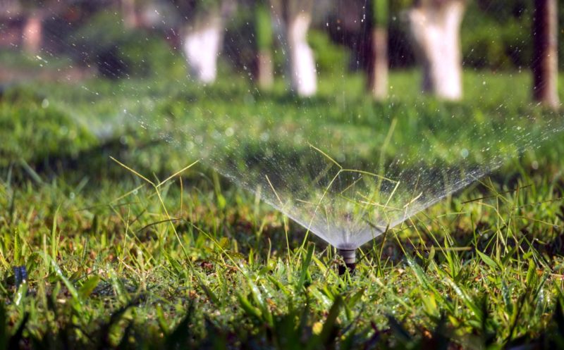 Keep Your Lawn Watering On Track