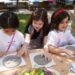 Making Your Summer Program Educational