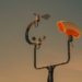 Why Your Electronics Project Needs Reliable Data Collection