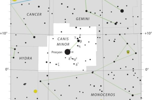 Canis Minor Constellation Map IAU