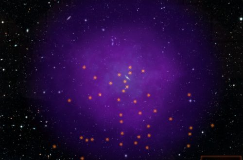 Circumgalactic Medium Around Andromeda Galaxy
