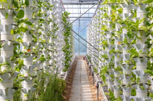 Modern Agriculture Methods To Boost Crop Productivity