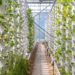 Modern Agriculture Methods To Boost Crop Productivity
