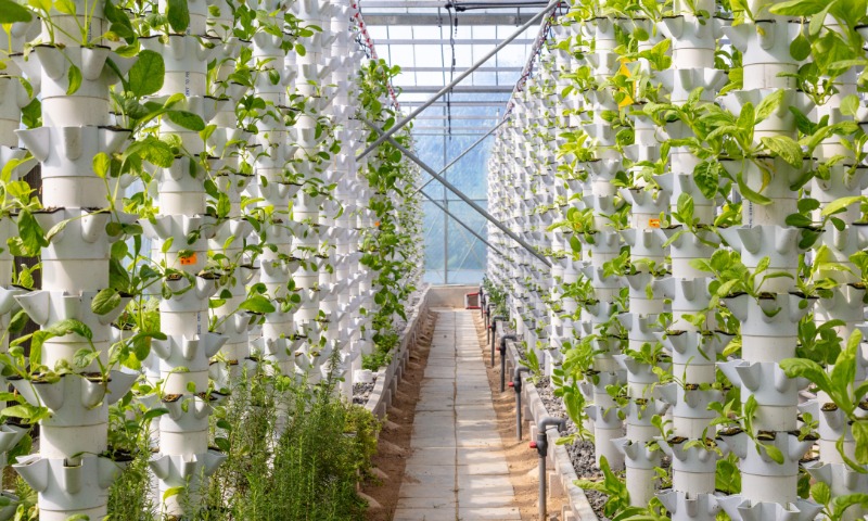 Modern Agriculture Methods To Boost Crop Productivity