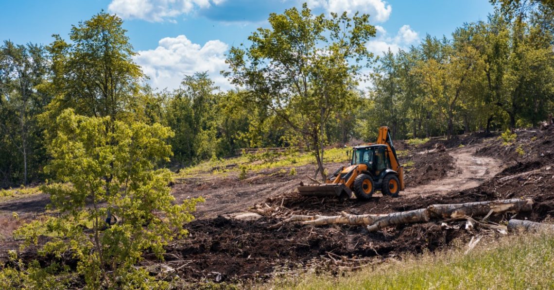 What To Consider Before Clearing Part Of Your Property