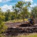 What To Consider Before Clearing Part Of Your Property