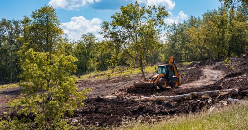 What To Consider Before Clearing Part Of Your Property What To Consider Before Clearing Part Of Your Property