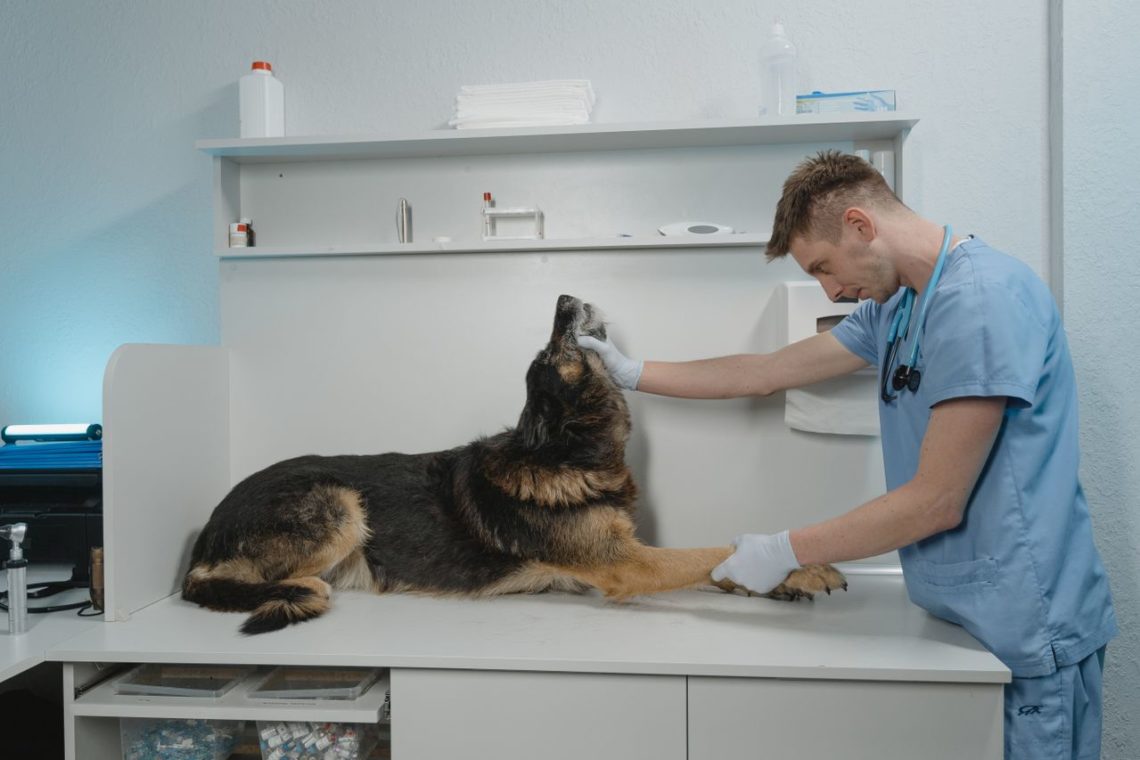 On-Demand Vet Care