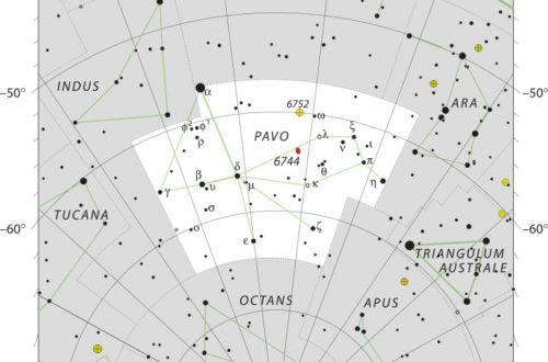 Pavo Constellation Map Iau
